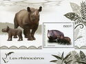 Rhinoceroses