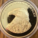Bald Eagle - National Emblem