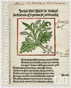Illustration from Macer Floridus De viribus herbarium