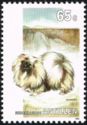 Pekinese (Canis lupus familiaris)