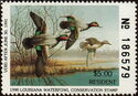 Green-winged teal (Anas carolinensis)