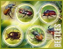 Beetles