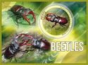 Beetles