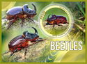 Beetles