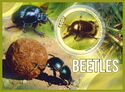 Beetles