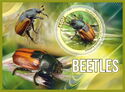 Beetles