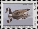 Canada goose (Branta canadensis)