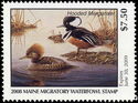 Hooded merganser (Lophodytes cucullatus)