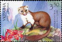 Stone Marten (Martes foina)