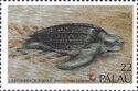 Leatherback Turtle (Dermochelys coriacea)
