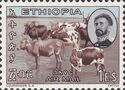 Emperor Haile Selassie, Cattle (Bos primigenus taurus)