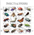 Insects/Spiders