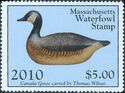 Canada goose (Branta canadensis) decoy
