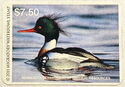 Red-breasted merganser (Mergus serrator)
