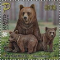 Brown Bear