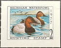 Canvasback (Aythya valisineria)