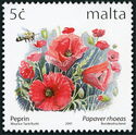Papaver rhoeas