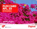 Flex Card - Bougainvillea