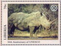 Rhinoceron in National Park of Garamba, Congo