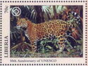 Leopard in National Park of Canaima, Venezuela