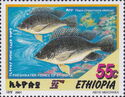 Nile Tilapia (Oreochromis niloticus)