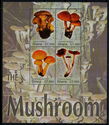 Mushrooms