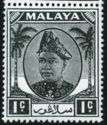 Sultan Hisamuddin Alam Shah