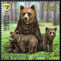 Brown Bear