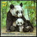 Giant Panda