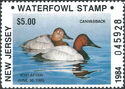 Canvasback (Aythya valisineria)