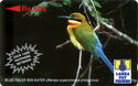 Blue-Tailed Bee-Eater ("Over 1000 Payphone Network")