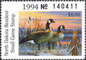 Canada goose (Branta canadensis)