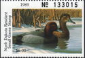 Redhead (Aythya americana)