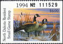 Canada goose (Branta canadensis)