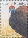 Helmeted Guineafowl (Numida meleagris)