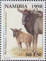 Blue Wildebeest (Connochaetes taurinus)