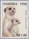 Meerkat (Suricata suricatta)