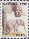 African Elephant (Loxodonta africana)