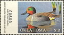 Green-winged teal (Anas carolinensis)