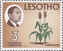 King Moshoeshoe II and  Sorghum.