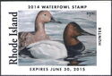 Canvasback (Aythya valisineria)