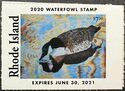 Canada goose (Branta canadensis)