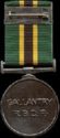 Medal for Gallantry