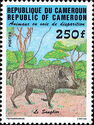 Common Warthog (Phacochoerus africanus)