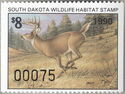 White-tailed deer (Odocoileus virginianus)