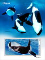 Orcas