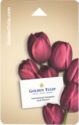 Golden Tulip