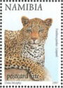 Leopard (Panthera pardus)