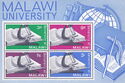 Malawi university