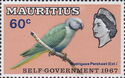 Newton's Parakeet (Psittacula exsul)